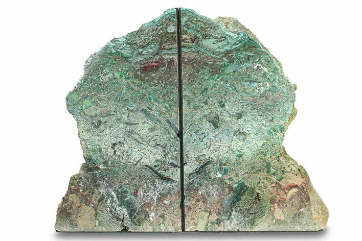 Green Jasper Replaced Petrified Wood Bookends - Oregon #297302